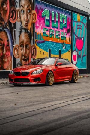 BMW M6 Coupe by ADV.1 Wheels (ADV5.2 M.V2 CS) 2020 года 